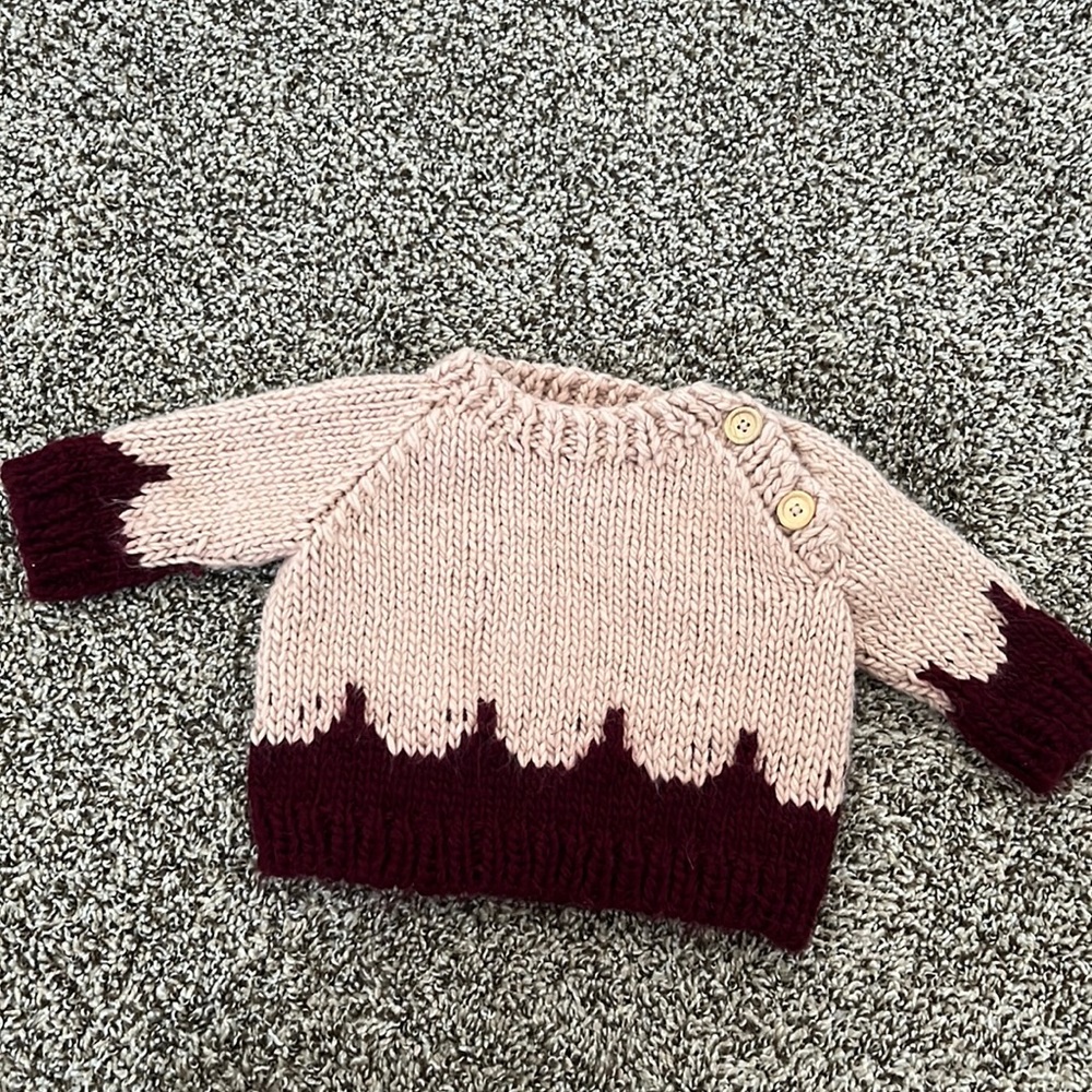 The Blueberry Hill size XS 3-12 months baby girl sweater